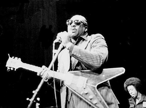 Albert Nelson
